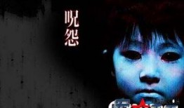 咒怨2003在线观看,惊悚恐怖，揭秘诅咒之屋的恐怖真相